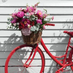 Sandtex® Rapid Dry Satin Paint Clay White - 750ml -Sandtex 12815747 1924951367590050