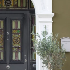 Sandtex Olive Matt Masonry Paint, 5L Tub 17 Sandtex Olive Matt Masonry Paint, 5L Tub -Sandtex sandtex olive matt masonry paint 5l tub5010131544613 05i bq